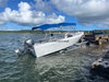 Board Abelly 580FS Fishseeker