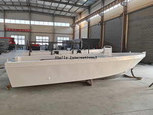 Board Abelly 580FS Fishseeker